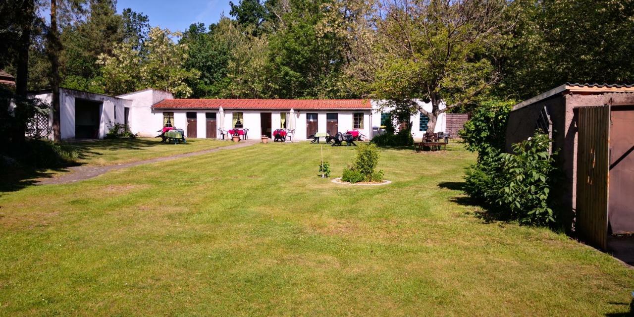 Ferienparadies Waldidylle, Familiengefuehrt Seit 20 Jahren - Mit Grossem Pool Und Viel Platz! Haida Exteriör bild